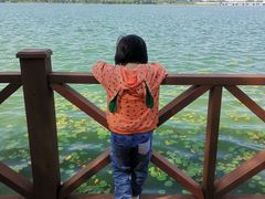 -丁香湖公园