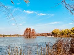 -尚湖风景区