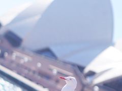景点-悉尼歌剧院