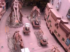 -陕西自然博物馆