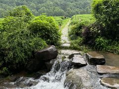-中国茶叶博物馆(双峰馆区)