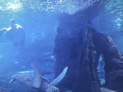 -太平洋海底世界