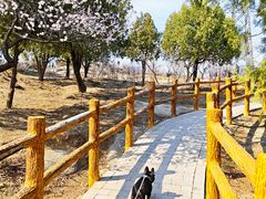 -白水寺森林公园