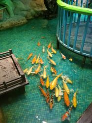 -酷嗒动物文化乐园(cutezoo西溪乐天城店)