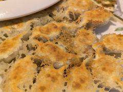 -石老头关东饺子王·东北菜(嘉华鑫城店)
