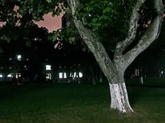 -同济大排档