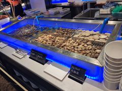 水产区-SEA西雅图海鲜自助餐厅(正义店)
