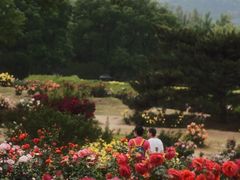 -国家植物园