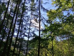 -驼梁风景区