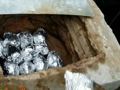 -武汉开心果园农业发展有限公司