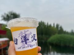 -白洋淀景区