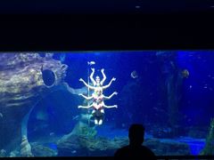 -多彩贵州城极地海洋世界