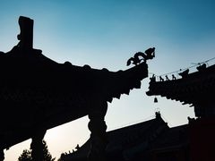 -塞罕坝国家级自然保护区