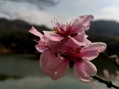 -白马涧龙池景区