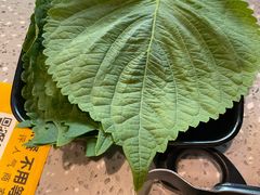 苏子叶-吉力烤鳗