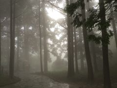 -庐山风景区花径公园