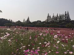 -嘉北郊野公园