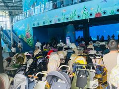 -海合安成都极地海洋公园