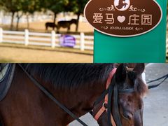 -盈香心动乐园