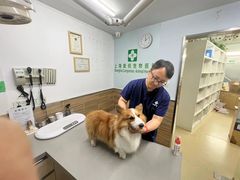 -爱侣宠医·鹦鹉专科·小型哺乳类·异宠专科(灵石路店)