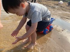 -碧海金沙