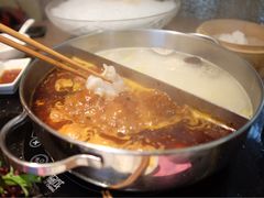 -协成海鲜火锅(海洋花园店)
