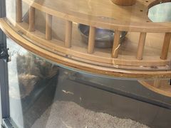 -悠尼宠物·独立低压伊珊娜洗护·美容·寄养(兰谷路店)