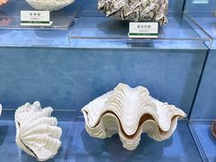 -浙江自然博物院(杭州馆)
