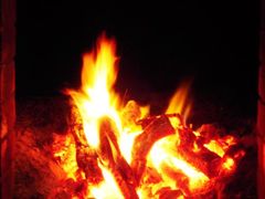 -全聚仁果木烤鸭(沙洲东路店)