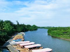 -东寨港红树林旅游区