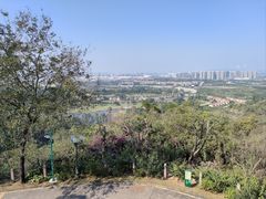 -广州莲花山旅游区