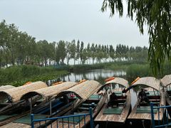 -白洋淀风景区