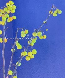 -花隐·美芙炫海菲秀皮肤管理中心