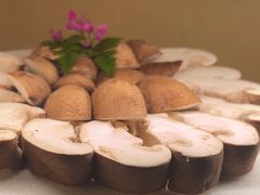 香菇-锦城印象火锅(天府三街店)