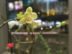 -Seesaw Coffee(苏州中心店)