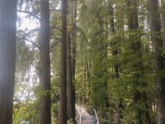-东湖落雁景区