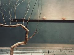 -喜茶(深圳万象城黑金店)