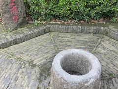 -上海佘山国家森林公园天马山园