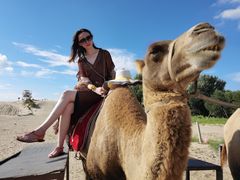 -库伦旗银沙湾旅游景区