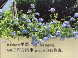 -Dr.U博士医疗美容医院