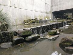 -中国湿地博物馆