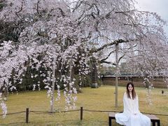 -醍醐寺