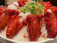 -A One Kitchen·南京精菜馆(德基广场店)