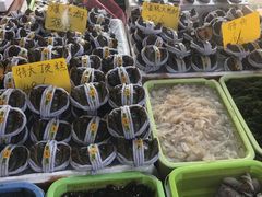 -南沙十九涌渔人码头-南门