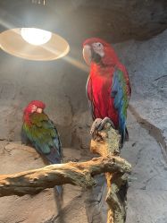 -Zoolung Zoolung动物主题公园(海信广场店)