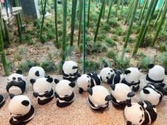 -杭州植物园