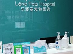 -乐派堂宠物医院·猫友好· 心脏科(东街店)