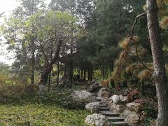 -宣武艺园