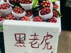 -西双版纳傣族园