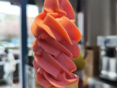 -萨朗刀克冰淇淋雪花凉(植物园店)